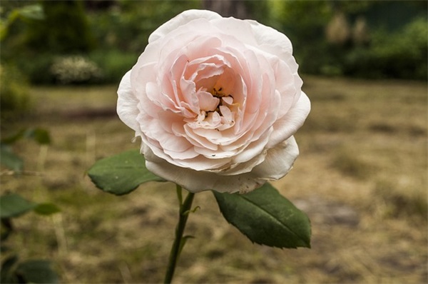 中秋节朋友祝福短信83句