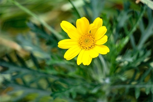 新店开业短信82句