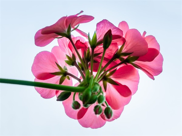 国庆趣味祝福短信81句