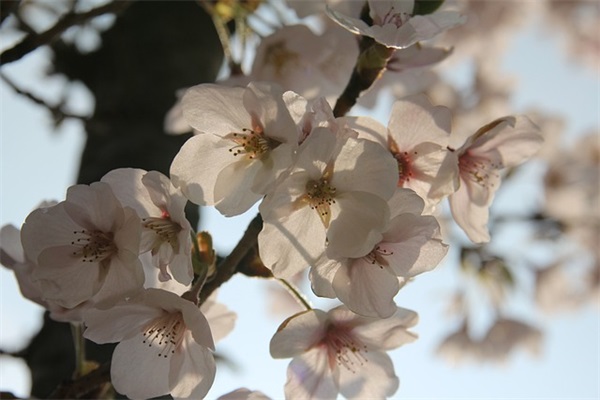 搞笑的元宵短信83句