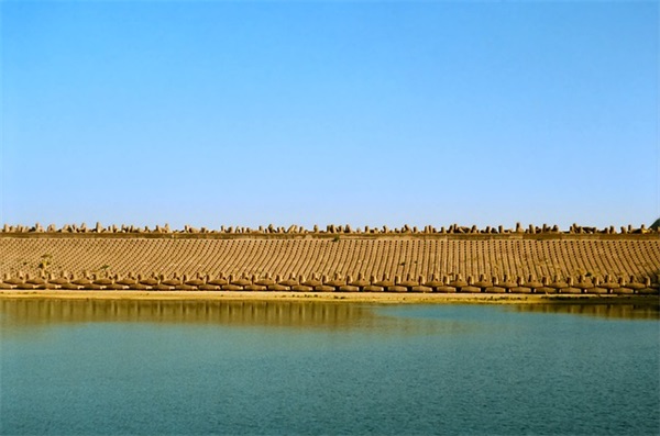 猪年生日短信85句