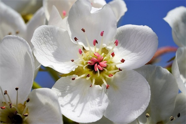 感谢老师的短信93句