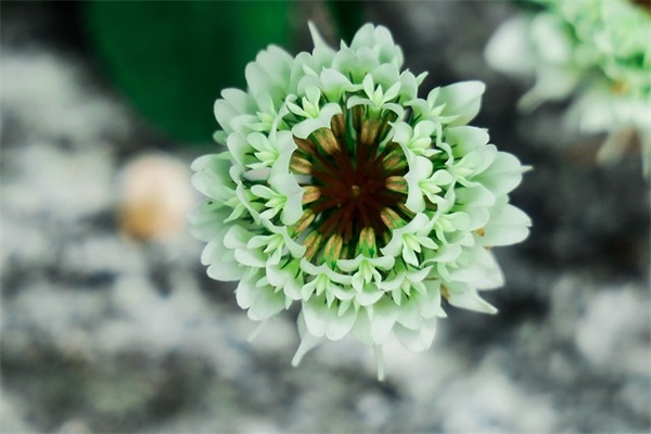 愚人节整情人短信81句