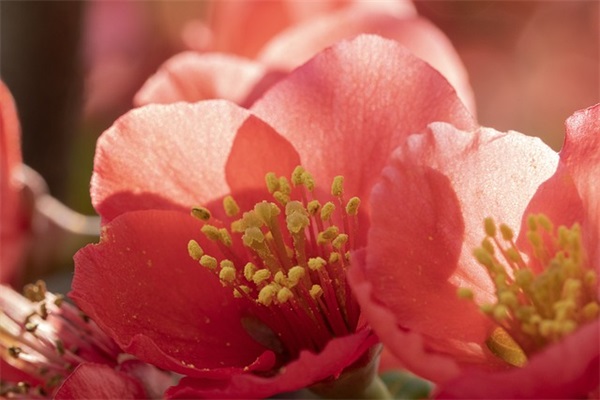 最新新年祝福短信79句