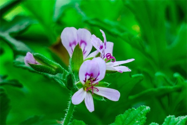 愚人节情侣间短信81句