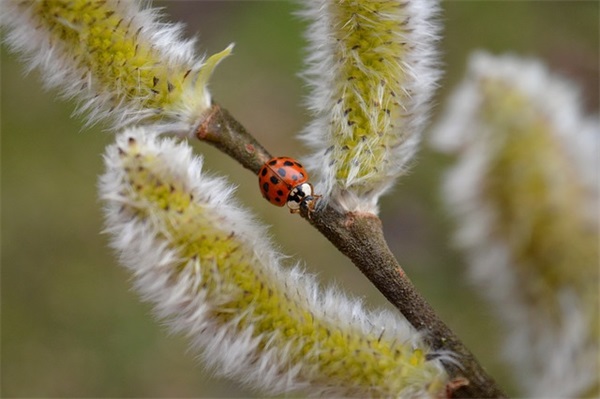 国庆假期短信祝福82句