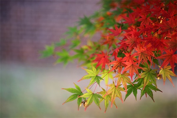 国庆节假期短信80句