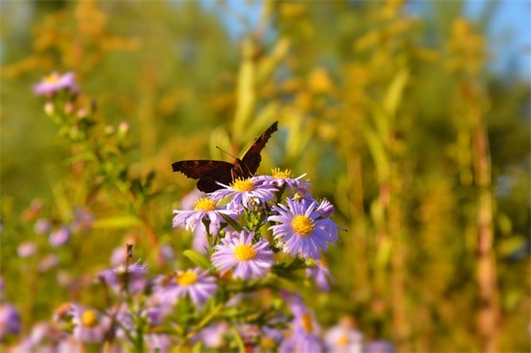 精选给老婆道歉短信100句
