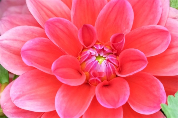 毕业寄语简短唯美句子 【毕业寄语 唯美】