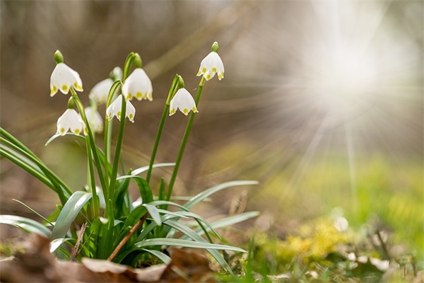 送给女儿十三岁的寄语 【写给女儿13岁生日简短寄语】