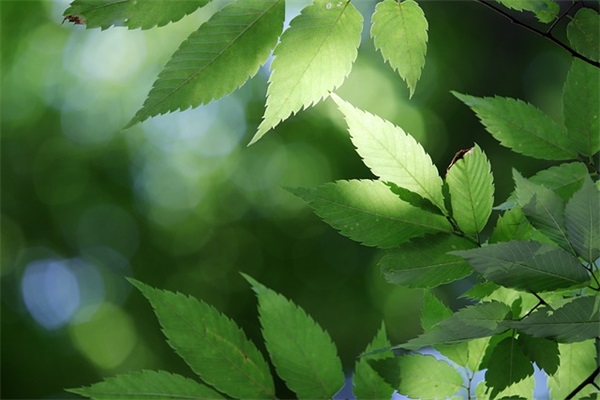 对孩子复学后的寄语 【孩子复学后家长的心得】