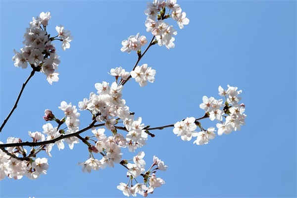 父母给新生孩子的寄语 【父母给新生儿的祝福语】