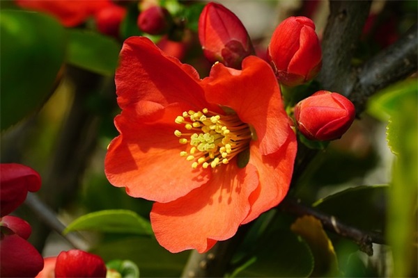 给高三老师的感谢寄语 【高情商家长感谢老师的话简短】