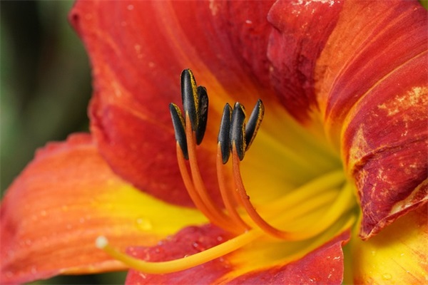 给老师的毕业寄语简短 【给老师的毕业寄语简短精辟句子】