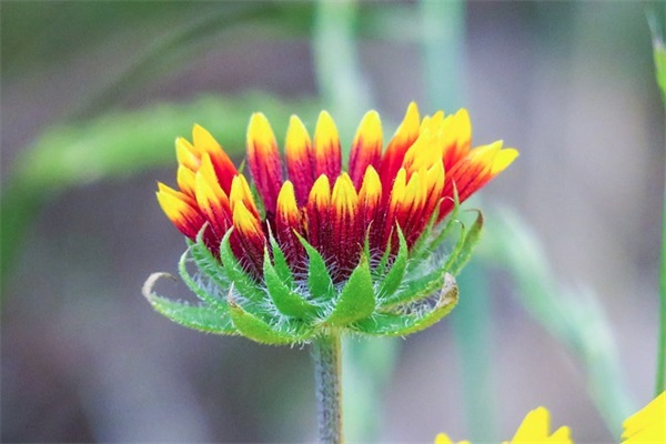 新年寄语简短有深意 【新年寄语2025简短唯美】