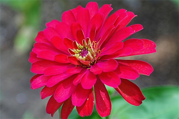 家长写给初中毕业孩子的寄语 【家长写给孩子的初中毕业赠言】