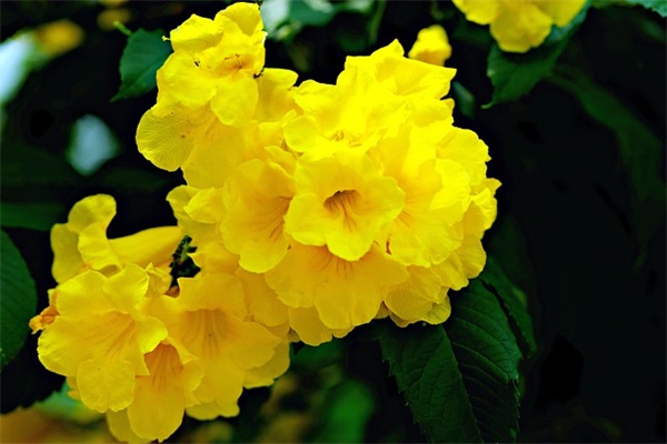 初三家长寄语鼓励期望100字-88句