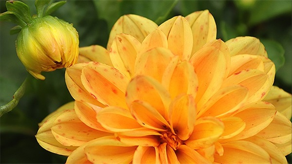 老爸给儿子的寄语 【2025年爸爸给儿子的话】