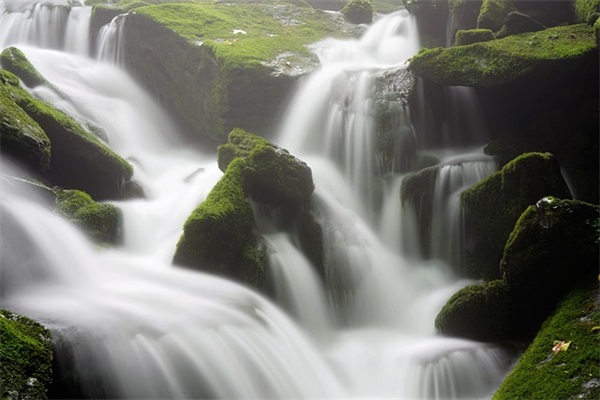 老师对十二岁学生的生日寄语 【老师给12岁生日学生的祝福语】