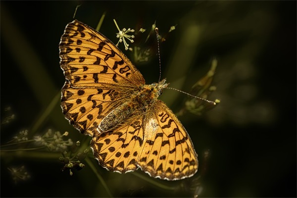 幼儿园孩子写给老师的毕业寄语 【幼儿园孩子写给老师的毕业寄语大全】
