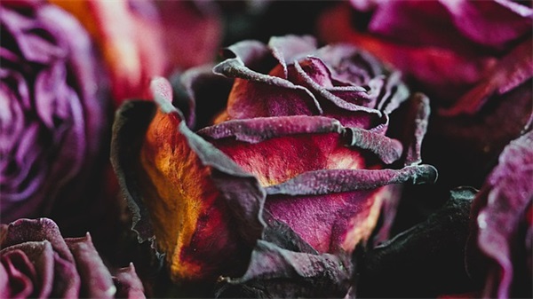 初中生毕业给自己的寄语 【初中毕业学生寄语唯美简短】