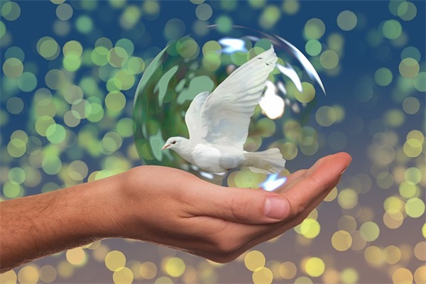 新生入学寄语-68句