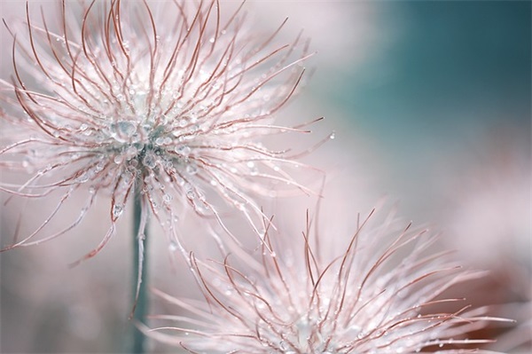 给小学毕业生寄语简短 【写给小学生毕业寄语唯美句子】