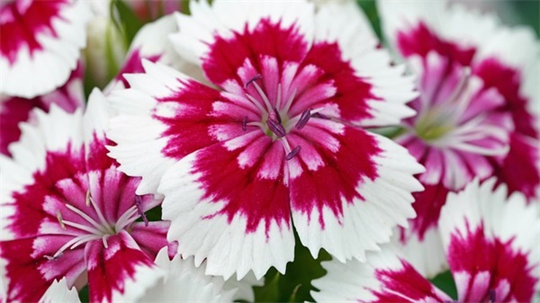 高三寄语简短 【高三寄语简短有内涵同学之间】