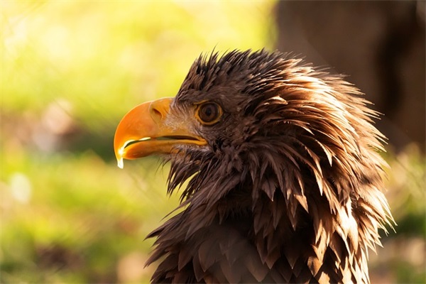 教师成长寄语大全 【教师个人成长寄语短文】