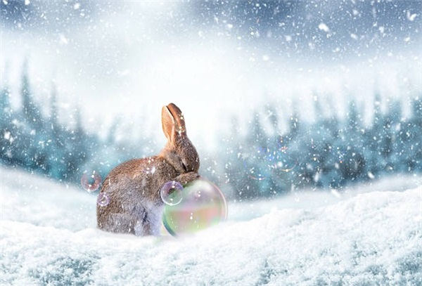 英语四级预测作文