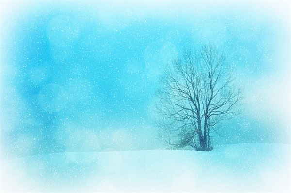 一份满意的答卷作文