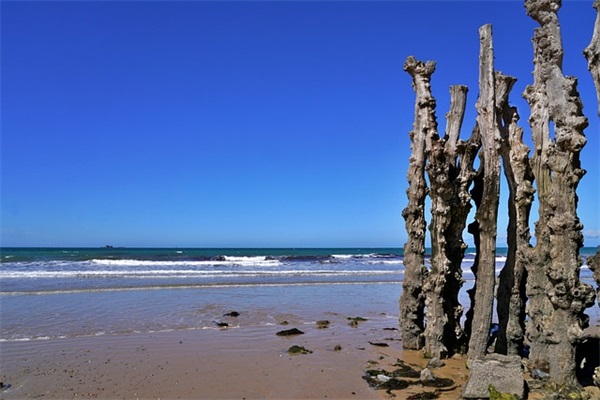 我尝到了妈妈的味道作文