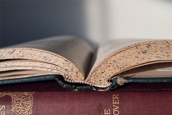 月有阴晴圆缺作文