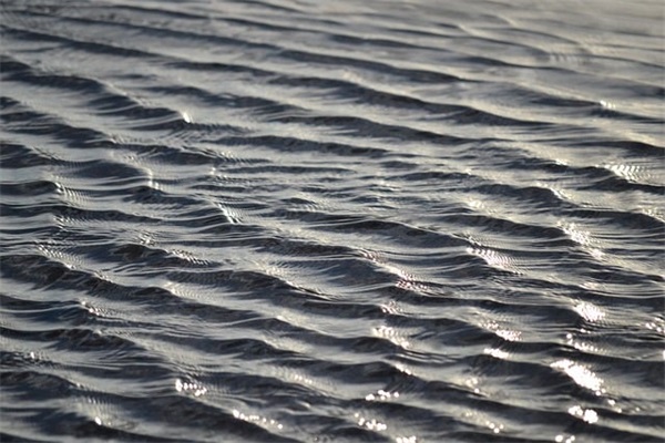 走进乡村生活手抄报