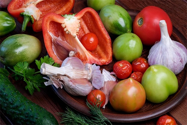 插皮嫁接技术要点