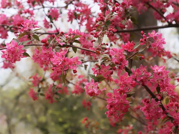 学习和工作简历