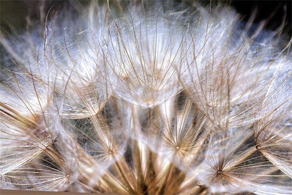 软件开发项目管理制度