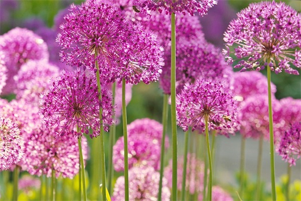 妈妈给幼儿园孩子的寄语和期望 【妈妈给幼儿园孩子的寄语和期望的话】