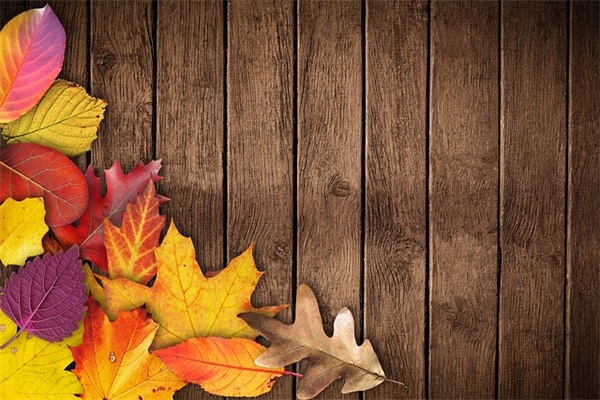 对孩子成长希望的寄语 【对孩子成长希望的寄语怎么写】