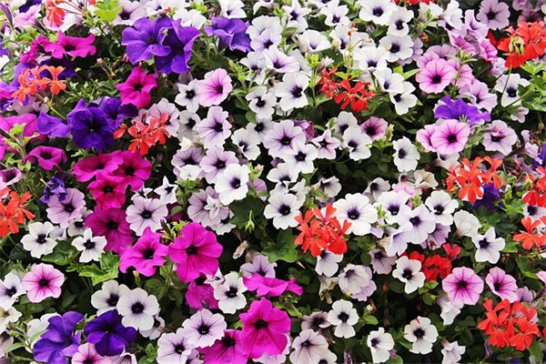 班主任对学生寄语简短有内涵 【班主任对学生的祝福语简短】