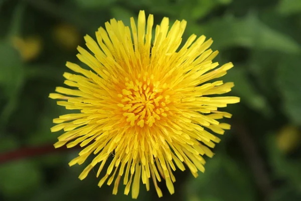 10岁生日寄语给孩子 八个字-99句