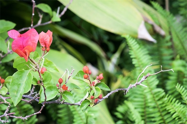 父母对劳动的孩子的寄语 【劳动父母对孩子的寄语20字】