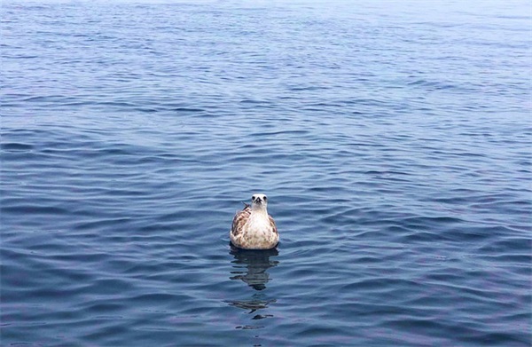 爸爸对女儿的祝福寄语 【爸爸对女儿的祝福寄语怎么写】
