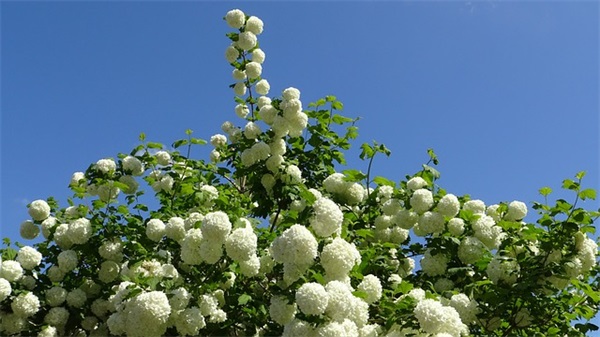 初三孩子的家长寄语怎么写 【初三家长给孩子的话语】