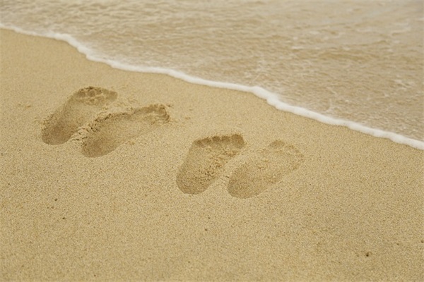 数学老师寄语一句话-86句