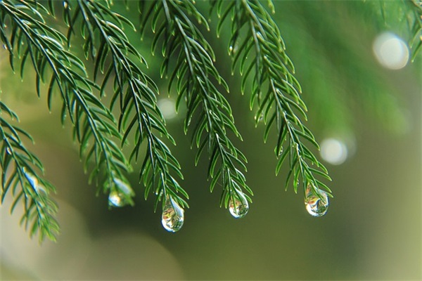 毕业儿子寄语 【毕业儿子寄语简短精辟】