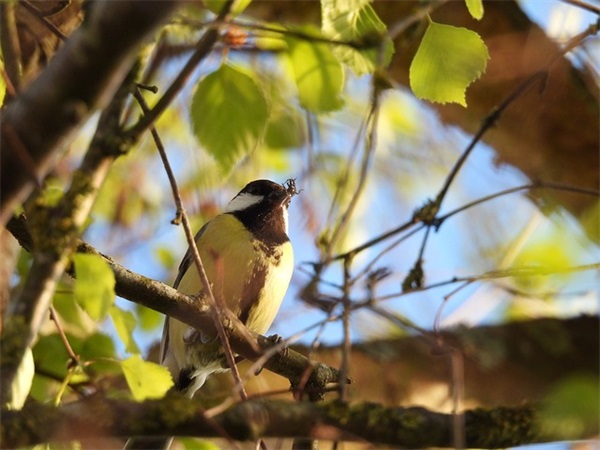 初中毕业老师的留言寄语 【100句精选】