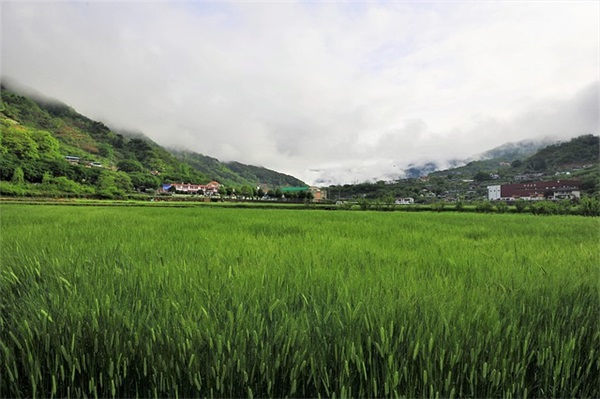 写给孩子十年后的寄语 【写给孩子二十年后的寄语】