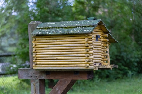 入队寄语卡学生寄语-73句