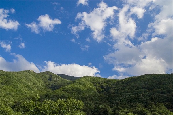 三年级家长寄语大全 【三年级家长寄语大全集】